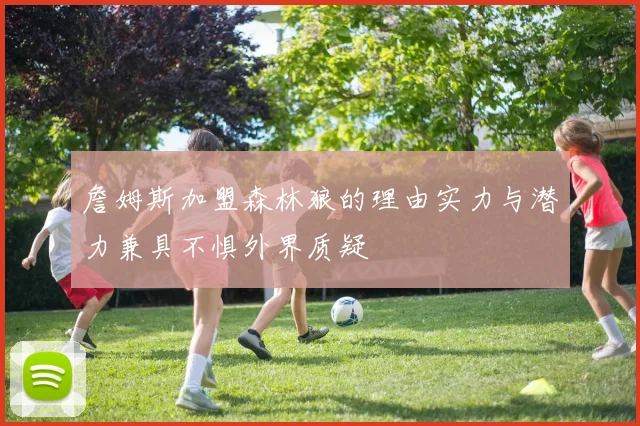 詹姆斯加盟森林狼的理由实力与潜力兼具不惧外界质疑